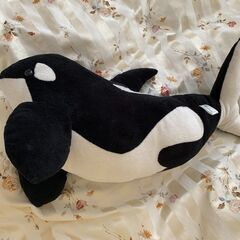 シャチ　ぬいぐるみの画像