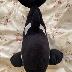 シャチ　ぬいぐるみの画像