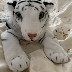 ホワイトタイガー　ティッシュカバーの画像