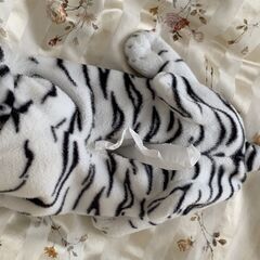 ホワイトタイガー　ティッシュカバーの画像