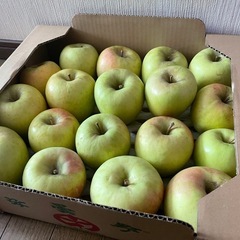 名月 長野県安曇野産 林檎6.4kg18個②の画像