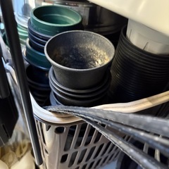 大量 鉢 鉢皿 台の画像