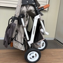 エアバギー ココダブル EX フロムバース / カラー: ストーンの画像