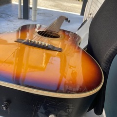 エレアコギターMaxwin 100-E パール系の画像