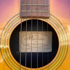エレアコギターMaxwin 100-E パール系の画像