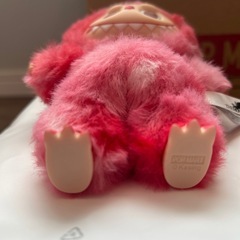 ラブブ　エナジー　Biginto Energy②の画像