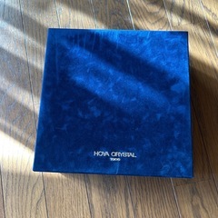 HOYAワイングラスの画像