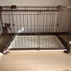 ケージの画像