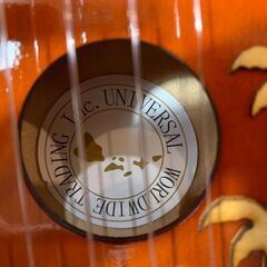 【未使用品】 ウクレレ ハワイ 楽器 箱付きの画像