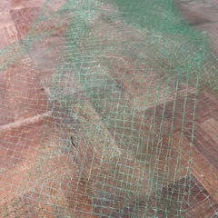 防鳥ネットの画像