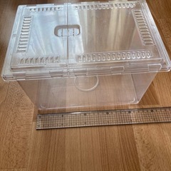 虫かご⑥ 大小セットの画像