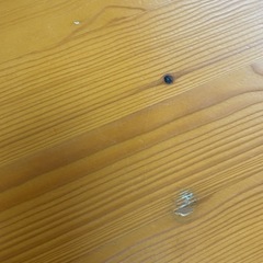 ローテーブル 円卓 ニトリ パイン材
の画像