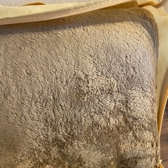 ニトリ　カーペット　ラグの画像