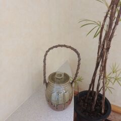 炭壷　水盤の画像