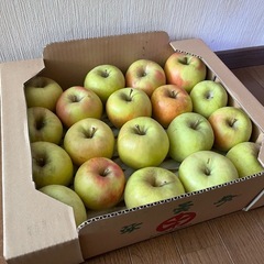 名月 長野県安曇野産 林檎6.4kg19個③の画像