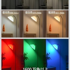 【超美品】フロアランプの画像