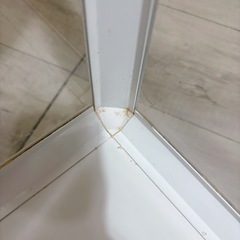 小動物ゲージBUCATSTATE80cmの画像