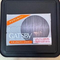 ヘアカラー アクアシルバーの画像