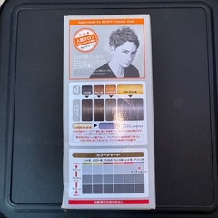 ヘアカラー アクアシルバーの画像