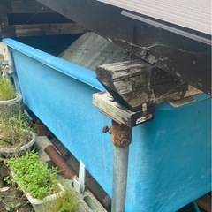 水槽　取り外し引き取り全て出来る方限定の画像