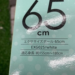 EXERCISE BALL バランスボールの画像