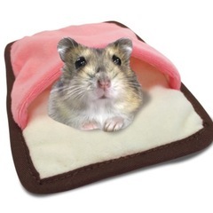 新品未開封 ポケハムベット ハムスター モモンガ リス等の画像