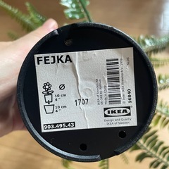 フェイクグリーン　観葉植物　IKEA　の画像
