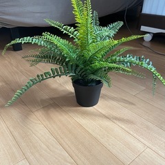 フェイクグリーン　観葉植物　IKEA　の画像