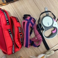 
ペットグッズ（犬、猫）の画像