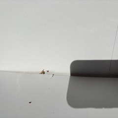 カラーボックスの画像