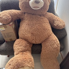 コストコの大きいクマさん　ぬいぐるみ
の画像