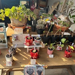 ガレージセール