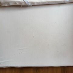 トゥルースリーパーの画像