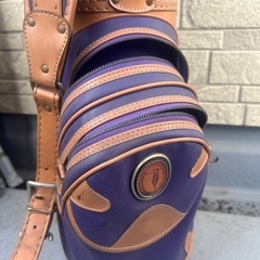 トラサルディゴルフバッグの画像