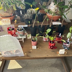 グラス　陶器　バッグ　の画像