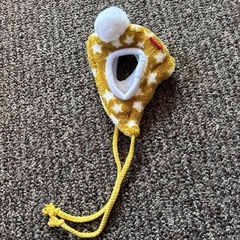 犬用帽子　冬の画像