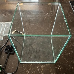 水槽と金魚飼育セットの画像