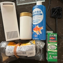 水槽と金魚飼育セットの画像