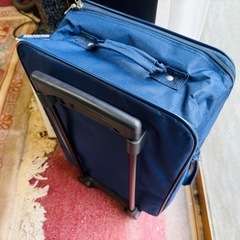 新品簡易キャリーバッグの画像