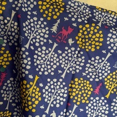 ディズニーレインポンチョの画像