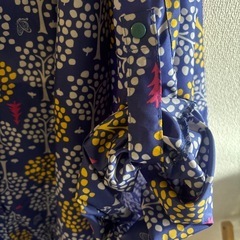 ディズニーレインポンチョの画像