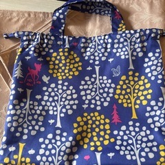 ディズニーレインポンチョの画像