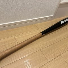 ミズノのトレーニングバットの画像