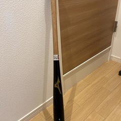 ミズノのトレーニングバットの画像