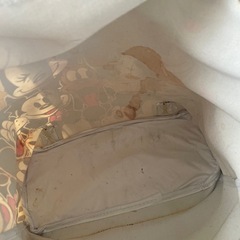 ディズニーワールド　リュックサックの画像