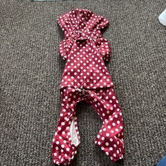 犬用服　レインコート　2Lの画像