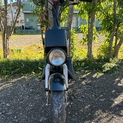 チョイノリ　SS 現在不動の画像