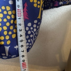 ディズニーレインポンチョの画像