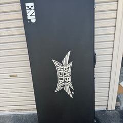 エレキギター用ハードケース(ﾟ∀ﾟ)の画像
