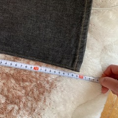 ミスエドウィンの画像